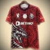 Maillot Concept FC Porto Édition Rouge 2425