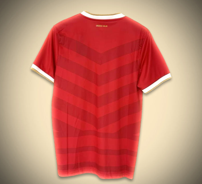 maillotpanamahomedos.jpg Fodboldtrøje Panama Hjemmebane 2024 set bagfra