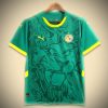 Fodboldtrøje Senegal Udebane 2024 set forfra