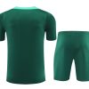 Sæt med trøje og shorts Portugal sæson 2024 2025 fodbolddragt