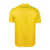 maillot-domicile-fc-nantes-saison-2024-2025-tenue-officielle-jaune-et-verte hjemmebanetrøje FC Nantes sæson 2024 2025 officielt sæt gul og grøn