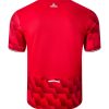 maillot-domicile-lille-losc-saison-2025-2026-tenue-officielle-supporters hjemmebanetrøje Lille LOSC sæson 2025 2026 officielt fan-sæt