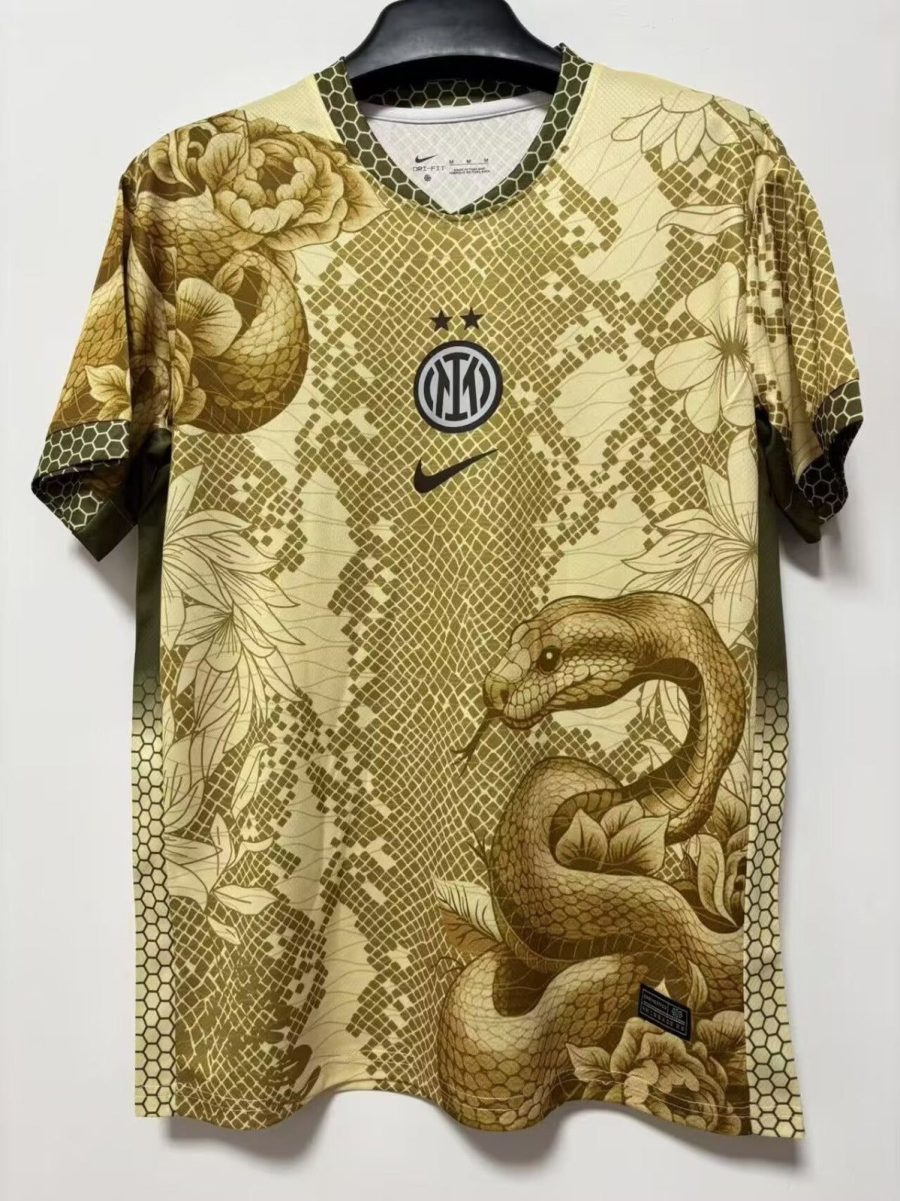 TRØJE INTER MILAN CONCEPT SNAKE 20252026