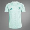 maillot-mexique-exterieur-2024 MEXICO UDEBANETRØJE 2024