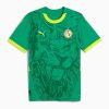 FODBOLDTRØJE SENEGAL UDEBANETRØJE 20242025