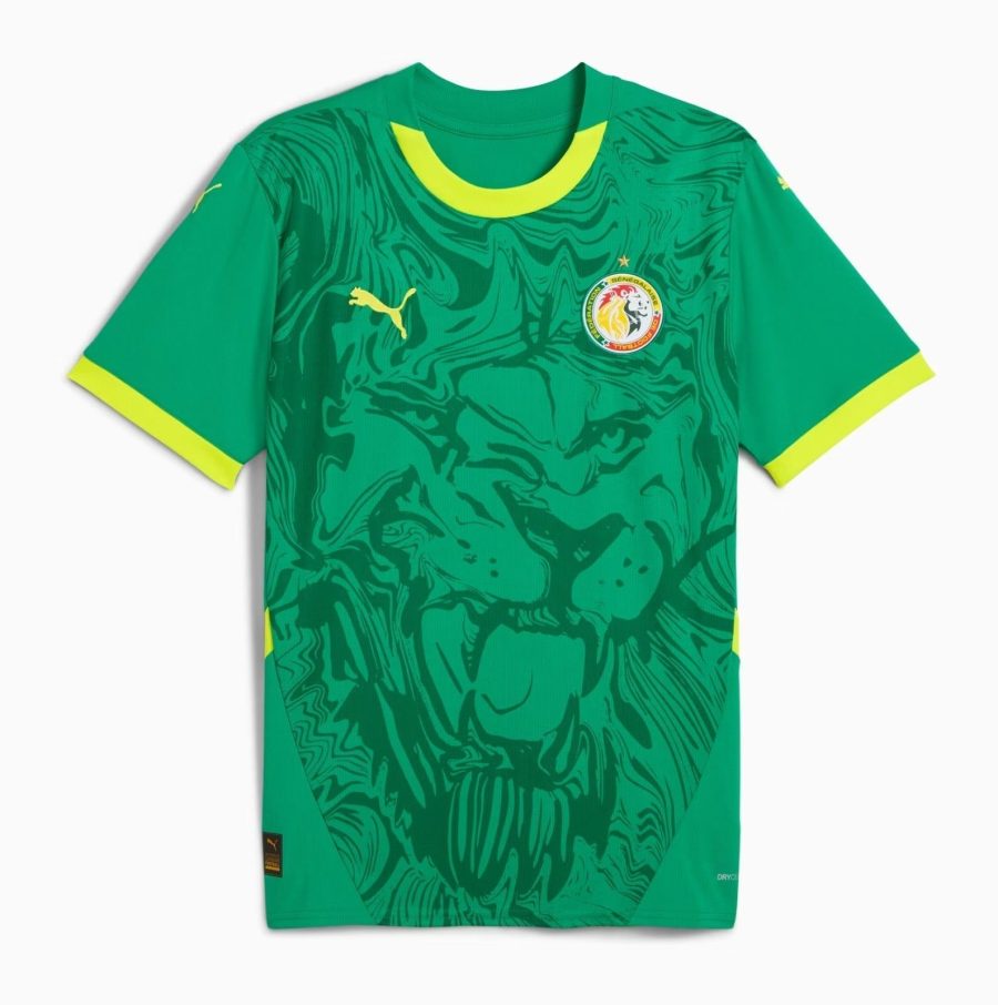 FODBOLDTRØJE SENEGAL UDEBANETRØJE 20242025