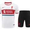 maillot-short-liverpool-20242025 FODBOLDTRØJE + SHORTS LIVERPOOL 20242025