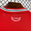 maillot-supporter-pays-de-galles-2026-pour-match-a-domicile Supportertrøje Wales 2026 til hjemmekampe