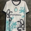 Inter Milan Fodboldtrøje 2024/25 Special Slange