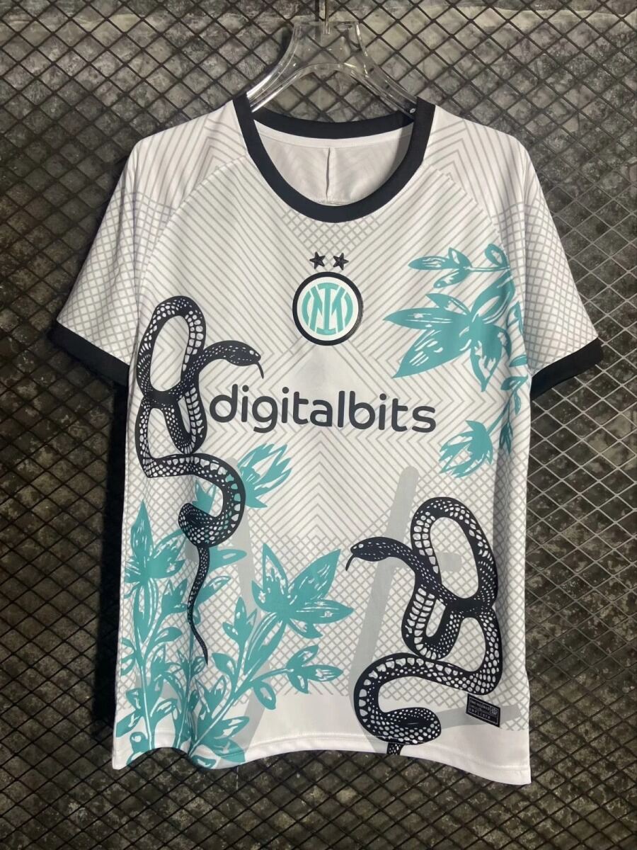 Inter Milan Fodboldtrøje 2024/25 Special Slange