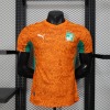 Fodboldtrøje Elfenbenskysten 2025/26 Player
