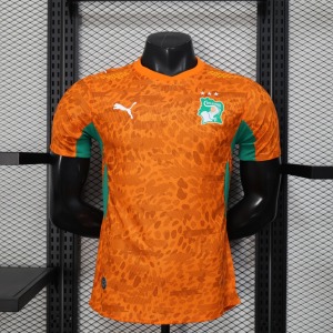 Fodboldtrøje Elfenbenskysten 2025/26 Player