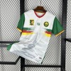 Cameroun CAN 2025-26 Fodboldtrøje
