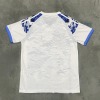 Fodboldtrøje Japan 2025/26 Special Blue Dragon