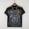 Fodboldtrøje Mexico Concept 2022