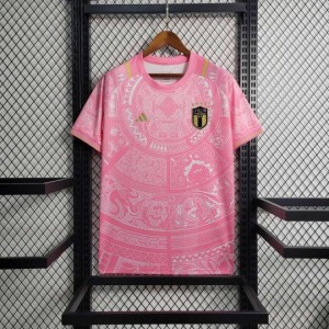 Fodboldtrøje Italien Rosa 2024 Special Edition
