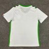 8e3825f641e0f47ba7343cbf47d45ef7.jpg AS Saint-Étienne Udebanetrøje 2024-2025