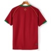 Portugal Hjemmebanetrøje Retro 2006