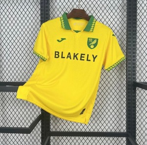 Fodboldtrøje Norwich City Hjemmebanetrøje 2025/26