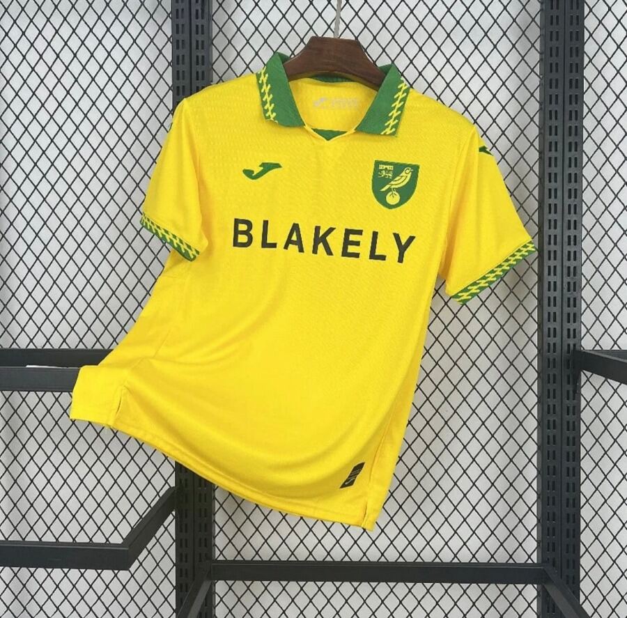 Fodboldtrøje Norwich City Hjemmebanetrøje 2025/26