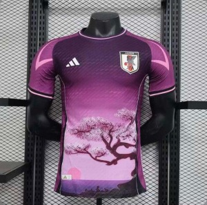 Fodboldtrøje Japan Concept 2024 Lilla
