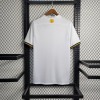 IMG-6066.jpg Fodboldtrøje AIK Solna 2023/24 Concept