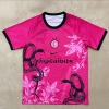 Fodboldtrøje Inter Milan 2024/25 Special Edition Pink Serpent