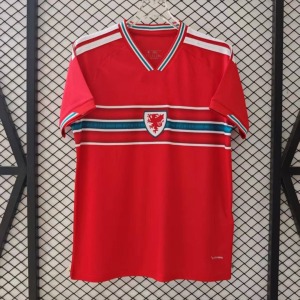 db928b2e5dda79c23d7e86fe58a9ad80.jpg Fodboldtrøje Wales Hjemmebanetrøje 2025/26