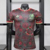 Mexico Concept 2026 Fodboldtrøje
