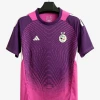 Fodboldtrøje Concept Algeriet Edition Violetrosa 2025-2026