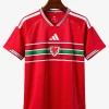 maillot-domicile-pays-de-galles-2026 studio v10 Fodboldtrøje Hjemmebanetrøje Wales 2026