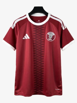 Fodboldtrøje Hjemmebanetrøje Qatar 2026