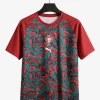 Fodboldtrøje Portugal 2026/27 Special Red