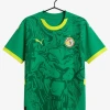 Fodboldtrøje Senegal Udebane 2024-2025